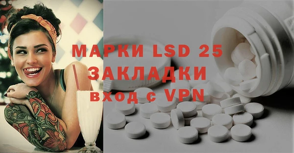 индика Баксан