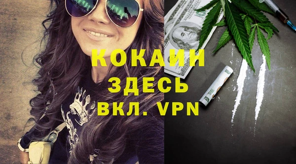 индика Баксан