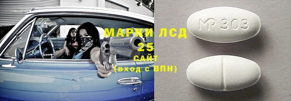 индика Баксан