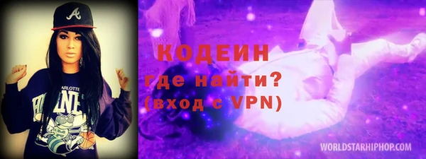 индика Баксан