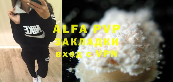 индика Баксан