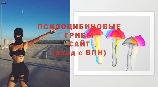 хмурый Арсеньев