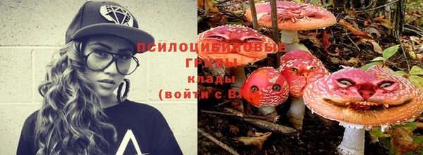 индика Баксан
