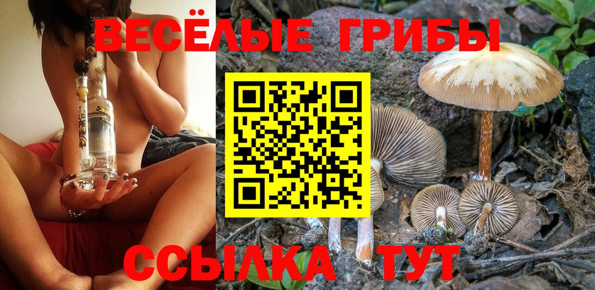 Псилоцибиновые грибы прущие грибы  Вход с VPN  Губкинский 
